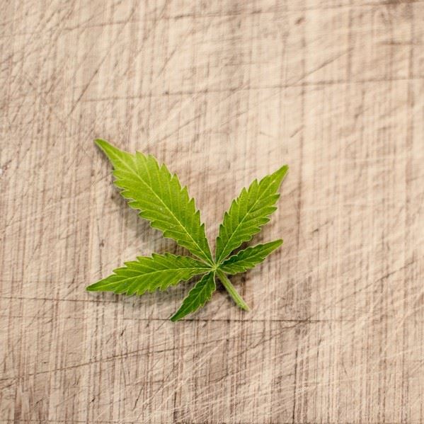 Betaeubungsmittelstrafrecht-1 Drug use in Germany
