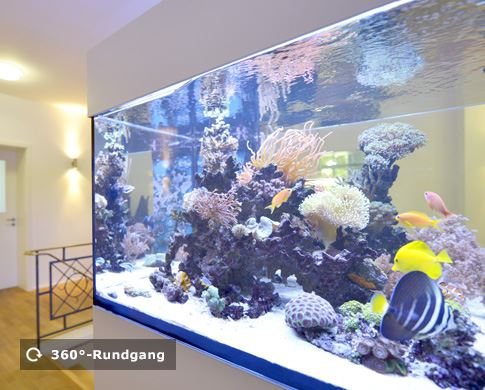 View into the reception area of the law office with the aquarium