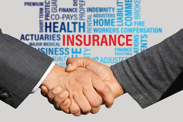 Legal expenses insurance criminal law